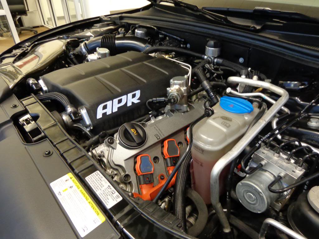 Name:  DSC09173_zpse9d57f47.jpg
Views: 170
Size:  114.7 KB