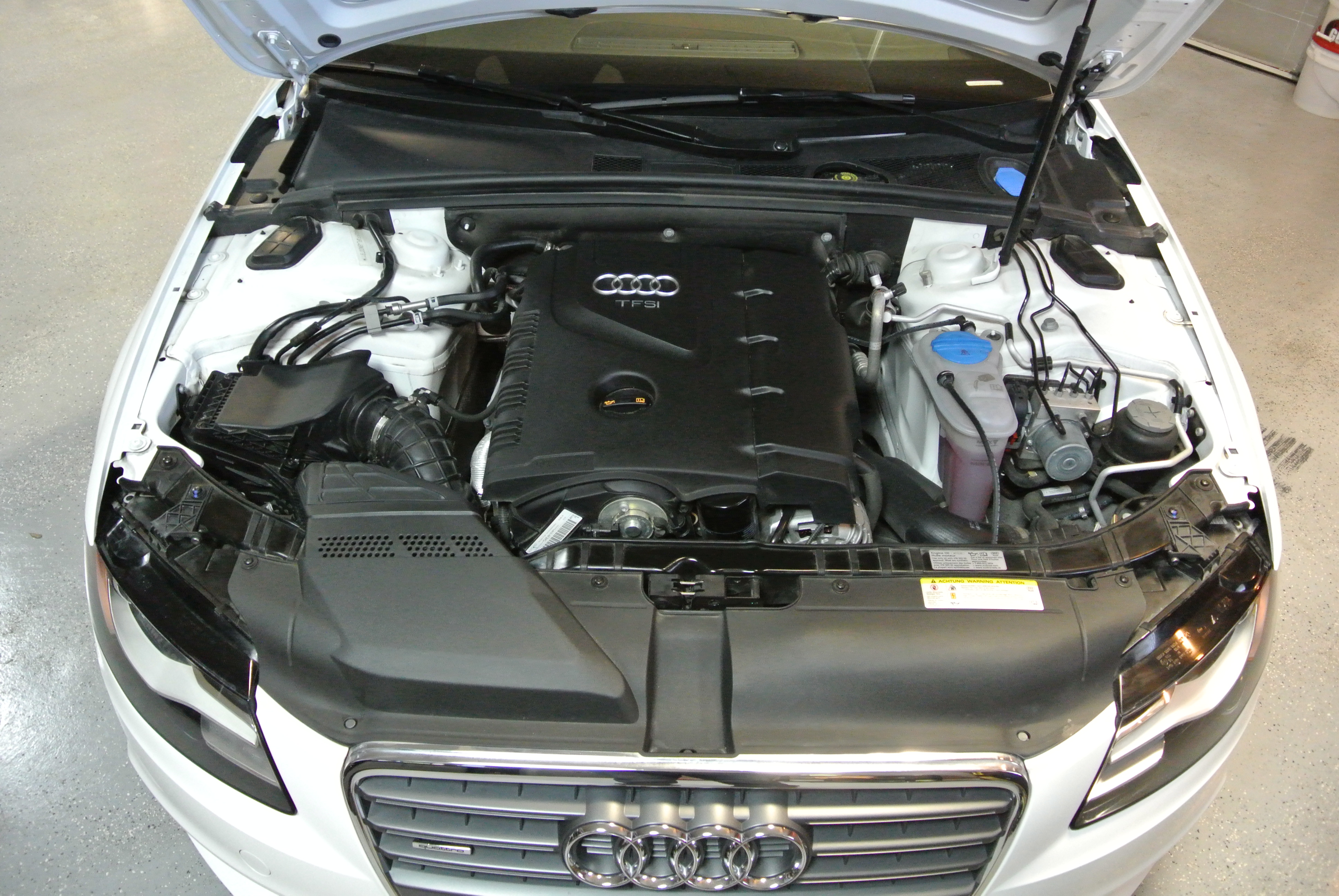 Name:  DSC_0354.jpg
Views: 71
Size:  2.74 MB