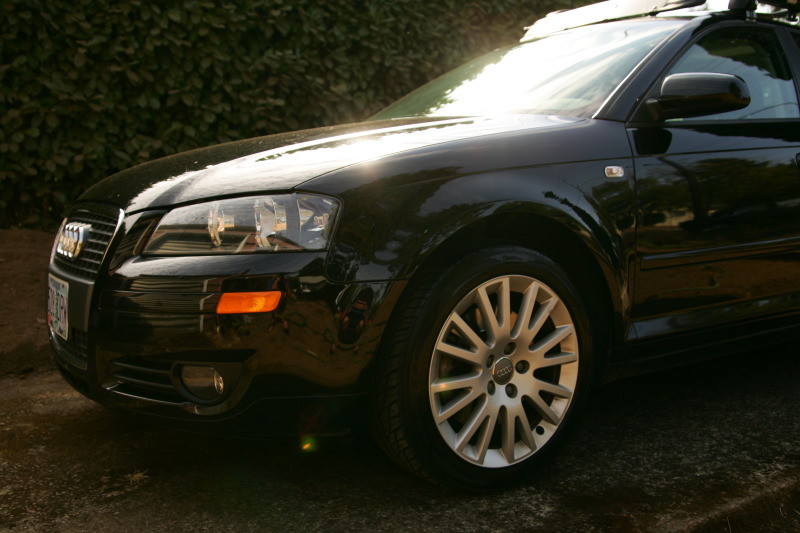 Name:  NN9R4721.jpg
Views: 36
Size:  121.8 KB