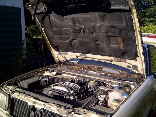 Name:  IMG-20120731-01246.jpg
Views: 132
Size:  86.9 KB