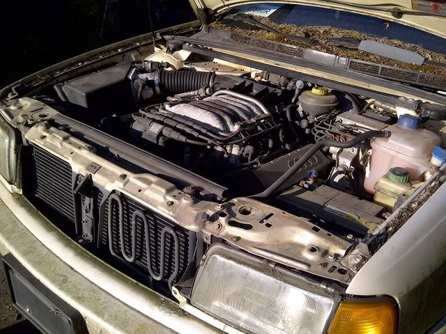 Name:  IMG-20120731-01245.jpg
Views: 184
Size:  94.4 KB