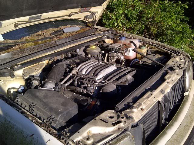 Name:  IMG-20120731-01243.jpg
Views: 124
Size:  105.2 KB