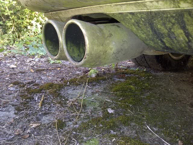 Name:  IMG-20120731-01241.jpg
Views: 138
Size:  103.5 KB