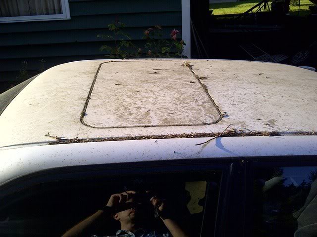 Name:  IMG-20120731-01231.jpg
Views: 157
Size:  52.8 KB