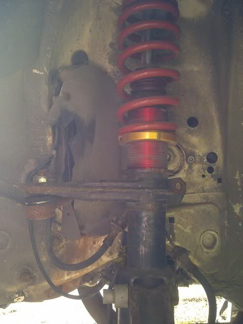 Name:  IMG-20120731-01228.jpg
Views: 90
Size:  36.4 KB