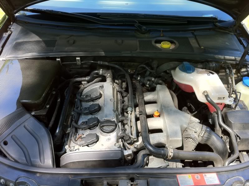 Name:  IMG_0256.jpg
Views: 211
Size:  108.7 KB