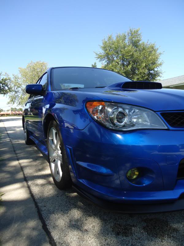 Name:  DSC00647.jpg
Views: 187
Size:  65.7 KB