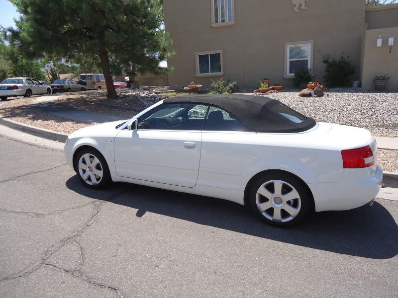 Name:  DSC00819.jpg
Views: 229
Size:  110.2 KB