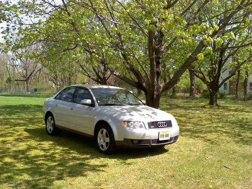 Name:  downsized_0501111040.jpg
Views: 88
Size:  62.4 KB