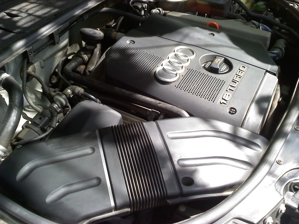 Name:  0501111036a.jpg
Views: 104
Size:  130.7 KB