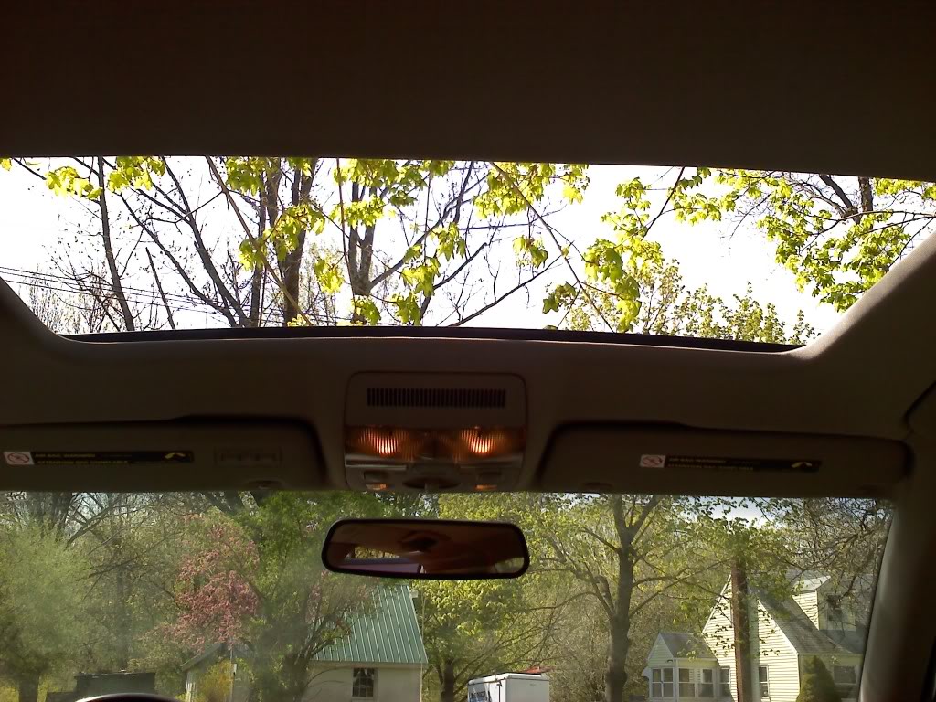 Name:  0501111028b.jpg
Views: 50
Size:  177.2 KB