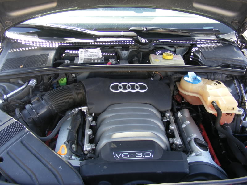 Name:  DSCF0215-2.jpg
Views: 132
Size:  99.4 KB