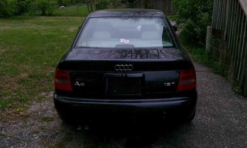 Name:  IMAG0196.jpg
Views: 31
Size:  79.8 KB