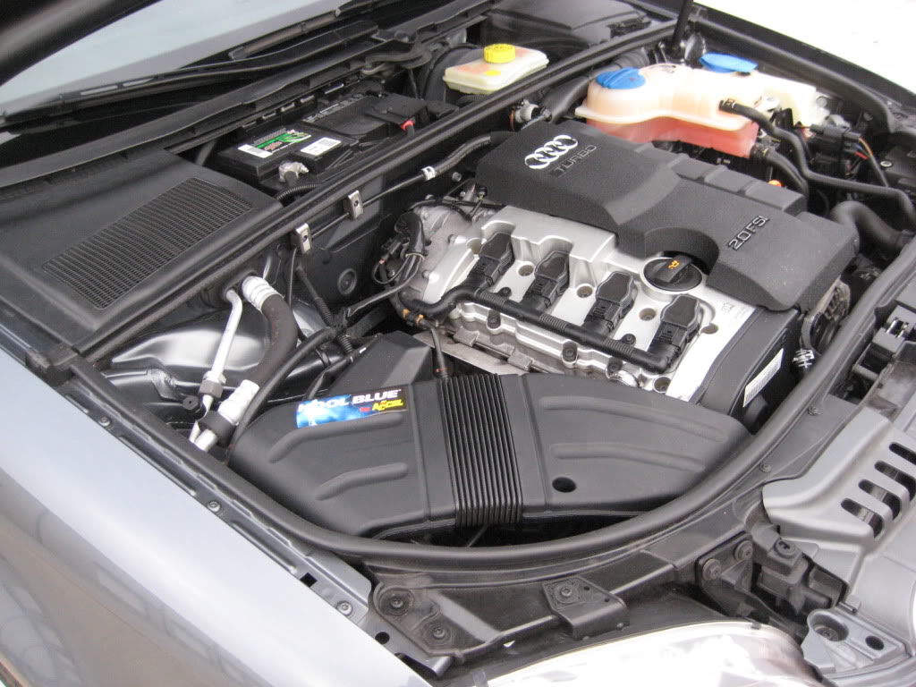 Name:  IMG_7717.jpg
Views: 270
Size:  138.7 KB