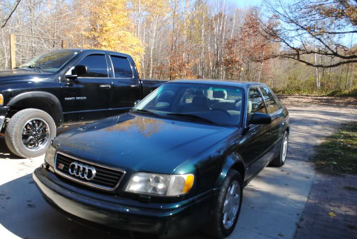 Name:  scraudi.jpg
Views: 27
Size:  78.3 KB