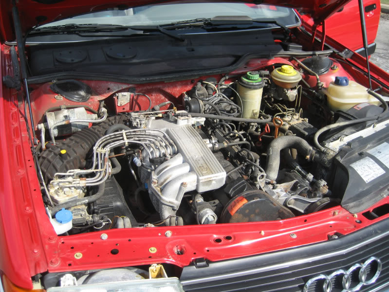 Name:  IMG_4919.jpg
Views: 67
Size:  148.4 KB