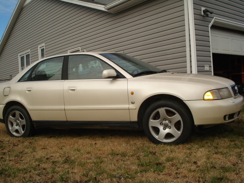 Name:  DSC04600.jpg
Views: 72
Size:  118.0 KB