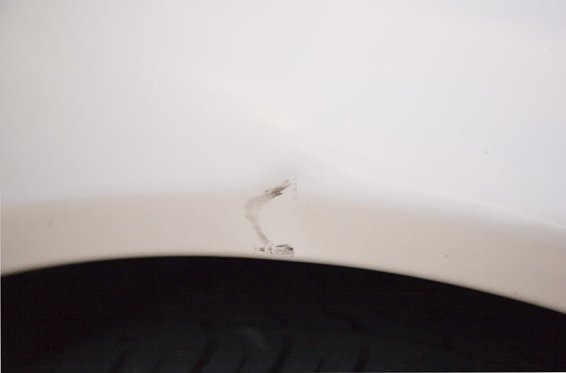 Name:  IMG_4754edit800.jpg
Views: 507
Size:  22.8 KB