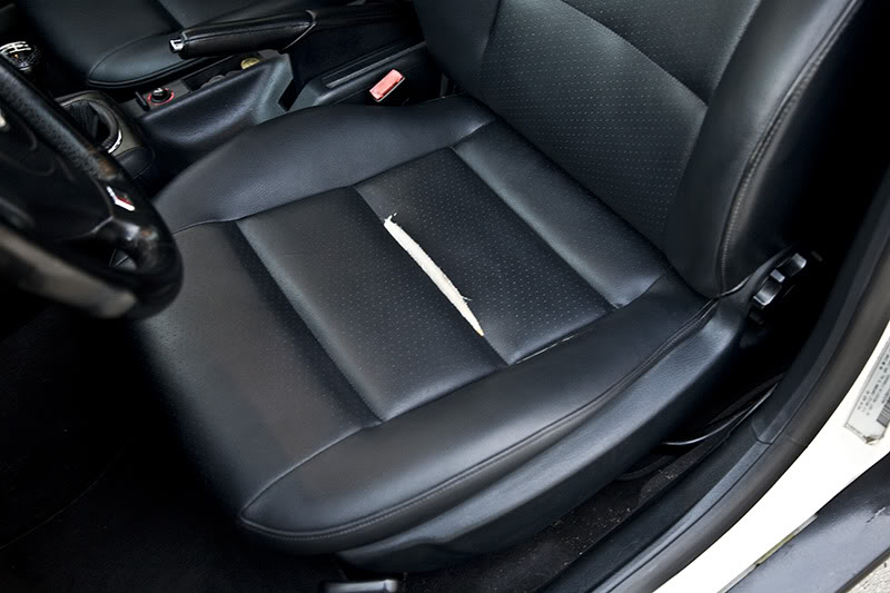 Name:  IMG_4764edit800.jpg
Views: 632
Size:  71.0 KB