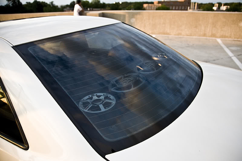 Name:  IMG_4744edit800.jpg
Views: 518
Size:  67.8 KB