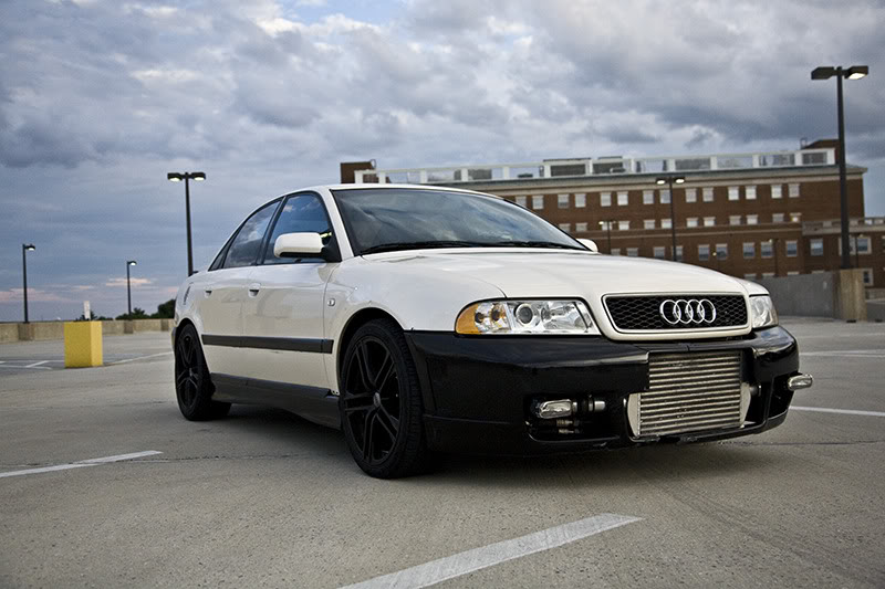 Name:  IMG_4682honestedit800.jpg
Views: 585
Size:  87.3 KB