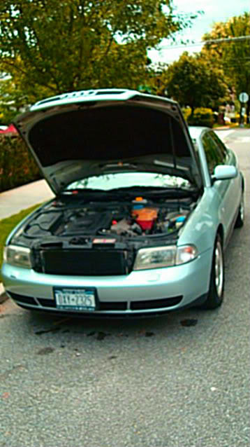 Name:  DSC01990.jpg
Views: 28
Size:  52.3 KB