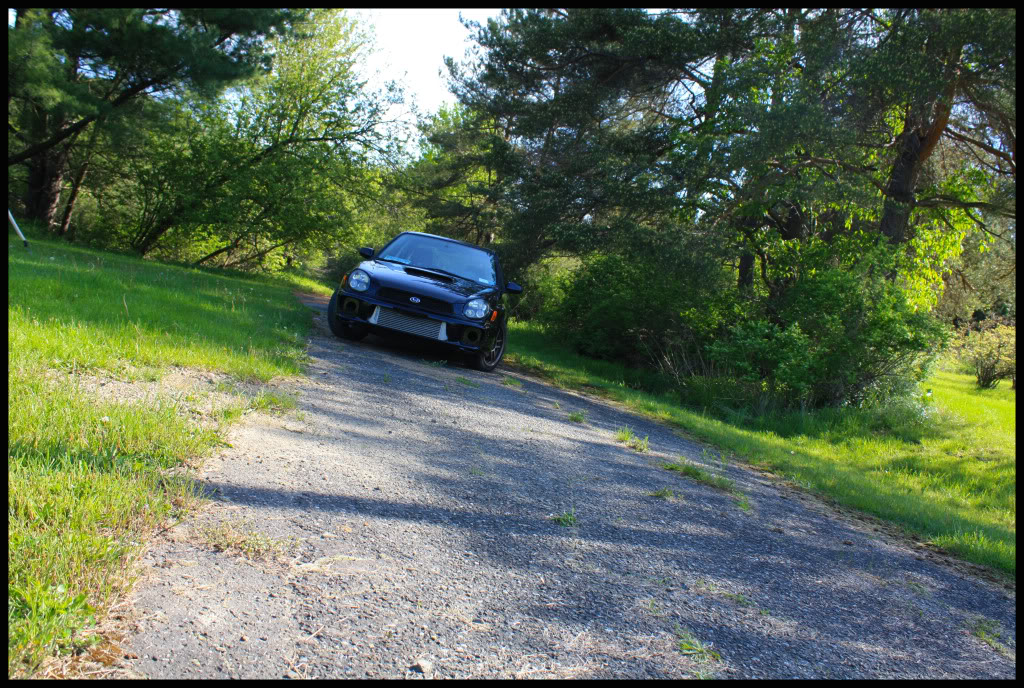 Name:  rexps6.jpg
Views: 60
Size:  288.5 KB