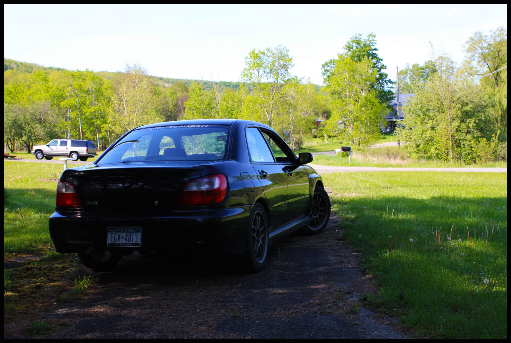 Name:  rexps5.jpg
Views: 69
Size:  171.2 KB