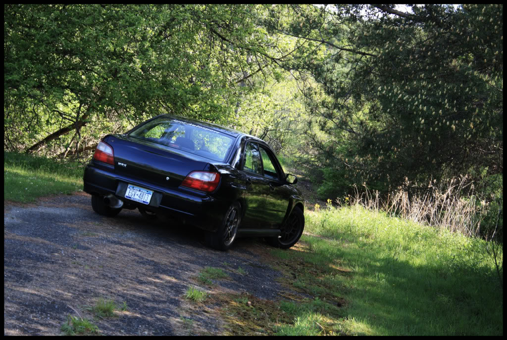 Name:  rexps3.jpg
Views: 79
Size:  265.1 KB