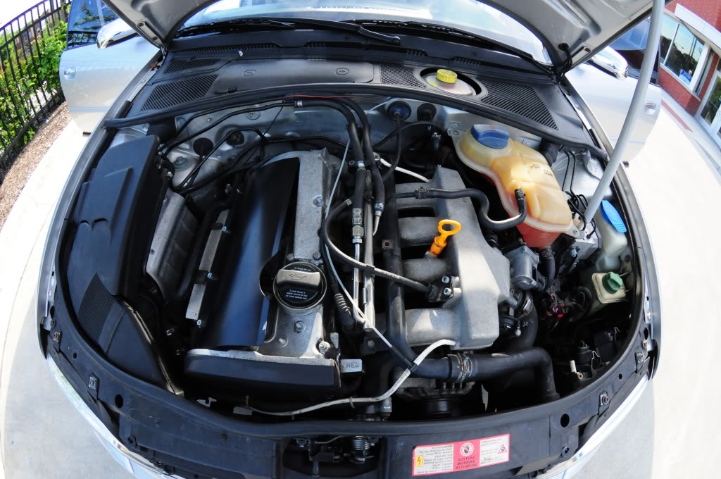 Name:  DSC_0065.jpg
Views: 424
Size:  180.7 KB