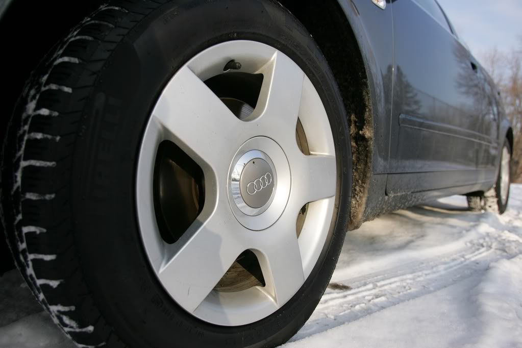 Name:  MG7U3206.jpg
Views: 50
Size:  67.8 KB