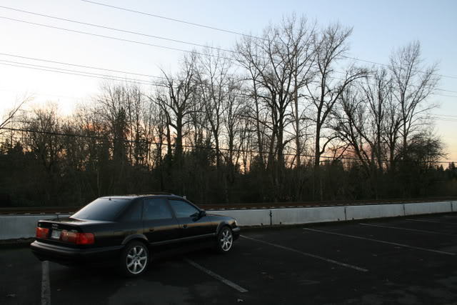 Name:  IMG_6313.jpg
Views: 36
Size:  66.3 KB