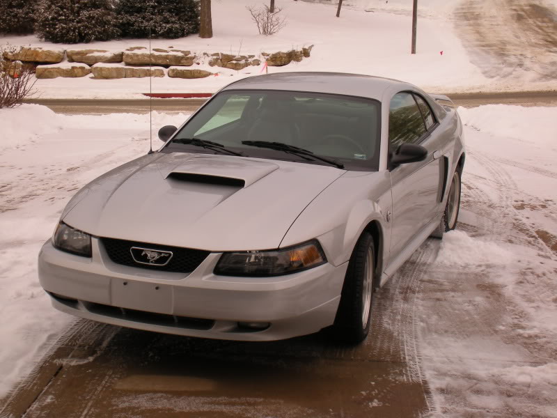 Name:  Winter2008016.jpg
Views: 20
Size:  90.4 KB