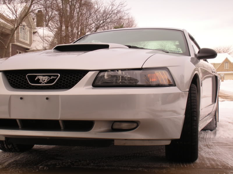 Name:  Winter2008017.jpg
Views: 20
Size:  85.7 KB