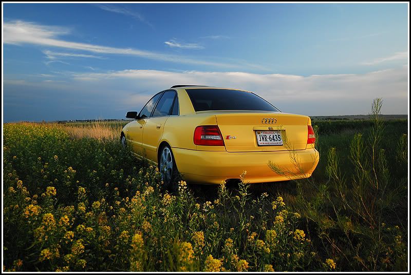 Name:  MattC2.jpg
Views: 69
Size:  123.6 KB