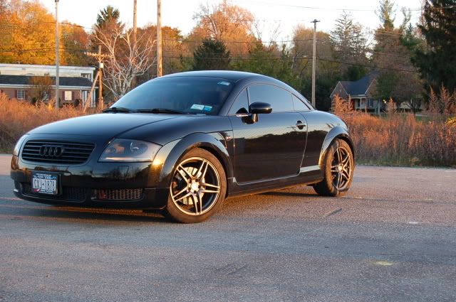 Name:  DSC_0275.jpg
Views: 149
Size:  112.3 KB