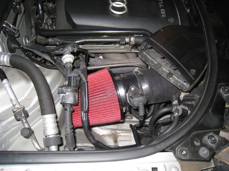 Name:  paige_10.jpg
Views: 20
Size:  100.4 KB