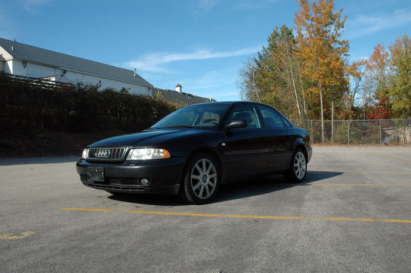 Name:  DSC_9686.jpg
Views: 97
Size:  100.6 KB