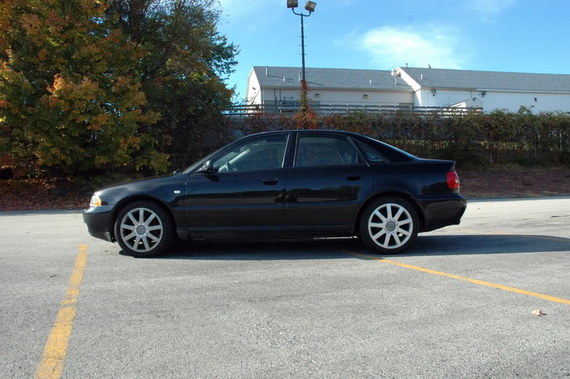 Name:  DSC_9687.jpg
Views: 67
Size:  116.4 KB