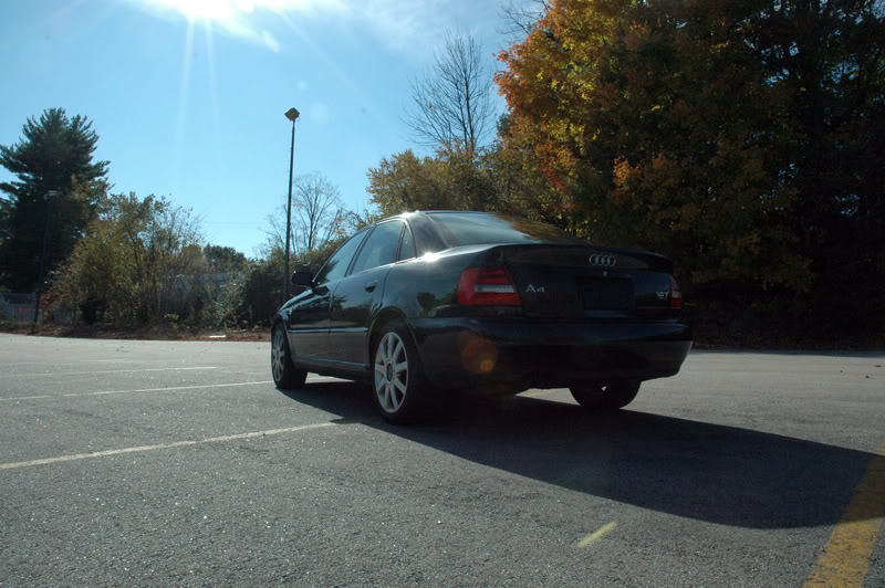 Name:  DSC_9688.jpg
Views: 61
Size:  95.2 KB