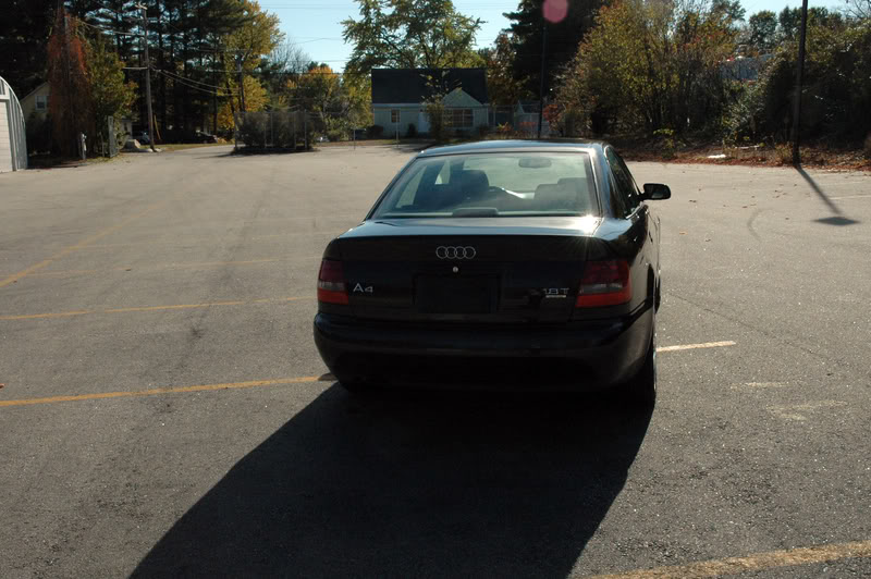 Name:  DSC_9690.jpg
Views: 66
Size:  99.1 KB