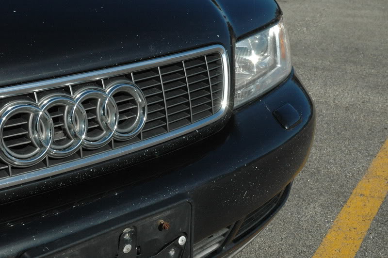 Name:  DSC_9694.jpg
Views: 52
Size:  114.4 KB