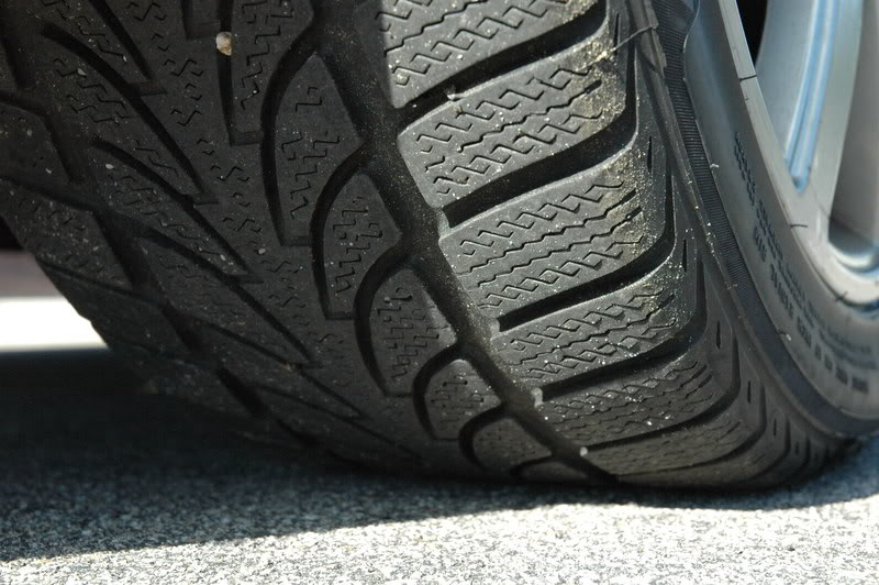 Name:  DSC_9698.jpg
Views: 58
Size:  117.1 KB