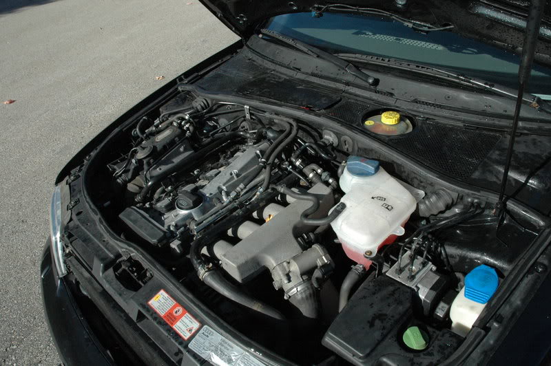 Name:  DSC_9705.jpg
Views: 62
Size:  120.5 KB