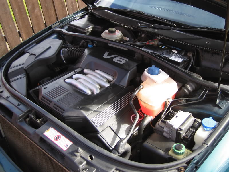 Name:  IMG_5640.jpg
Views: 1854
Size:  100.3 KB