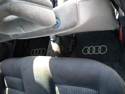 F/S: CLASSIC AWD!! 1984 Audi Quattro 4000S-dscn0031-medium-.jpg