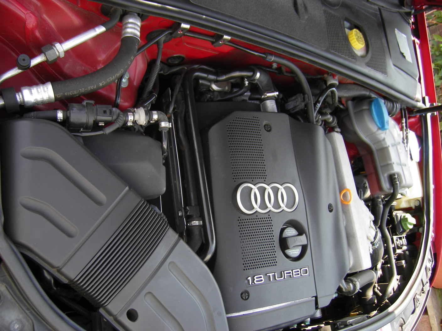 Name:  IMGP0077.jpg
Views: 19
Size:  225.0 KB