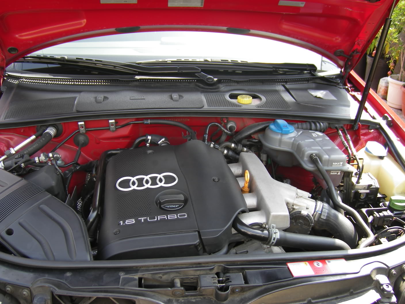 Name:  IMGP0075.jpg
Views: 21
Size:  232.7 KB