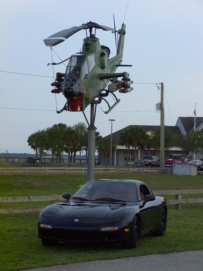 Name:  blackfd4.jpg
Views: 83
Size:  71.2 KB