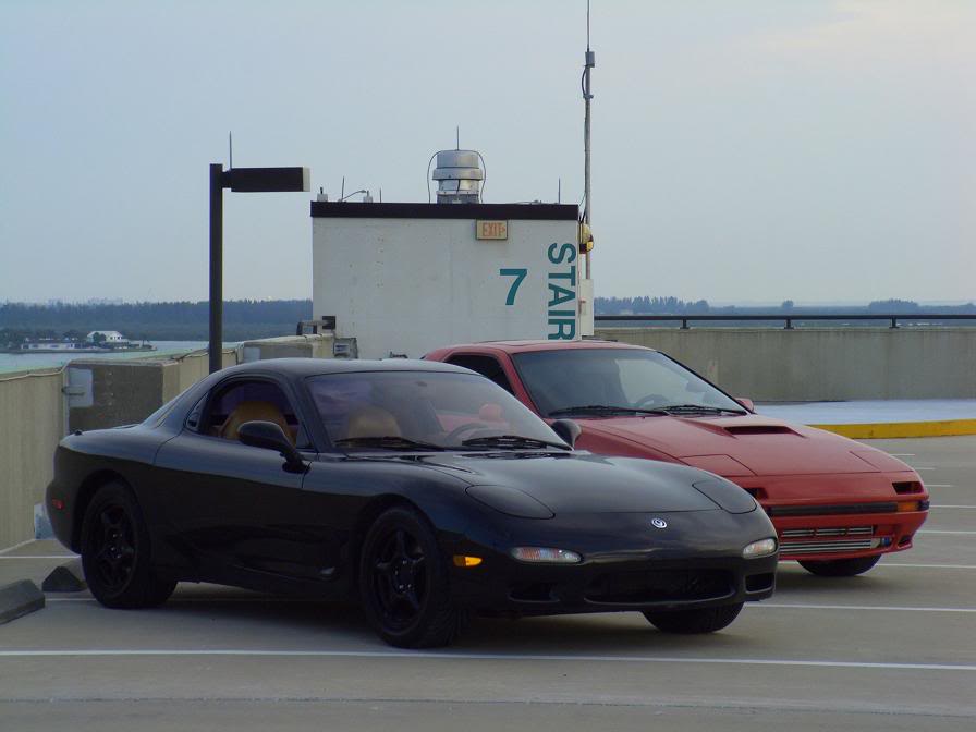 Name:  blackfd1.jpg
Views: 61
Size:  43.3 KB